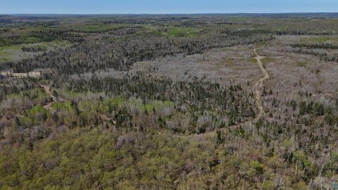 Tiny photo for 4715 Hefflefinger Rd, Finland, MN 55603 (MLS # 6125631)