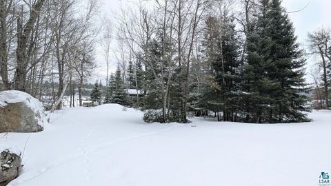 Tiny photo for 3163 Randa Rd, Orr, MN 55771 (MLS # 6123841)