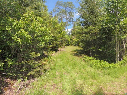 Tiny photo for 15 Greenwood Lake Rd, Grand Marais, MN 55604 (MLS # 6126882)