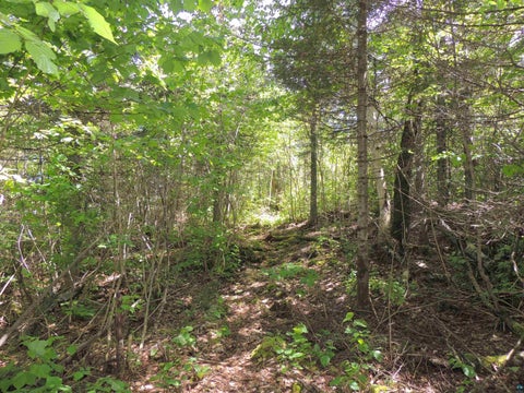 Tiny photo for 15 Greenwood Lake Rd, Grand Marais, MN 55604 (MLS # 6126882)