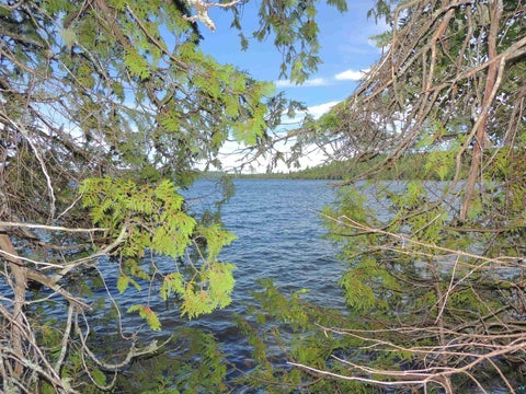 Tiny photo for 15 Greenwood Lake Rd, Grand Marais, MN 55604 (MLS # 6126882)