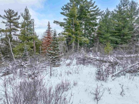 Tiny photo for TBD Trezona Dr, Ely, MN 55731 (MLS # 6123275)