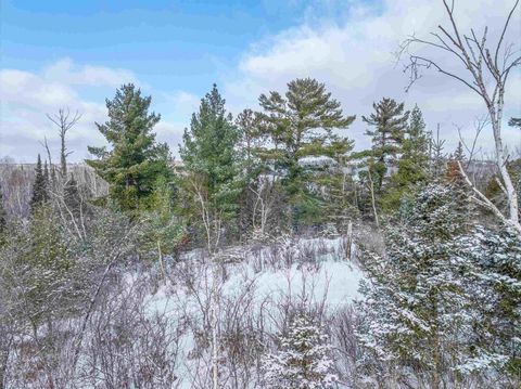 Tiny photo for TBD Trezona Dr, Ely, MN 55731 (MLS # 6123275)