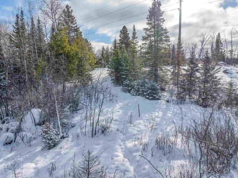Tiny photo for TBD Trezona Dr, Ely, MN 55731 (MLS # 6123275)