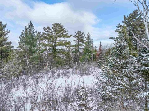 Tiny photo for TBD Trezona Dr, Ely, MN 55731 (MLS # 6123275)