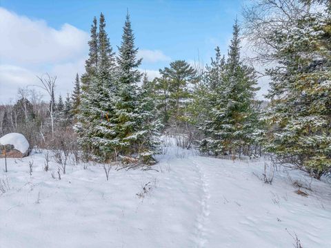 Tiny photo for TBD Trezona Dr, Ely, MN 55731 (MLS # 6123275)