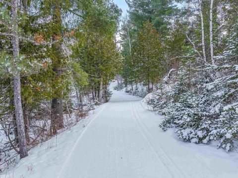 Tiny photo for TBD Trezona Dr, Ely, MN 55731 (MLS # 6123275)