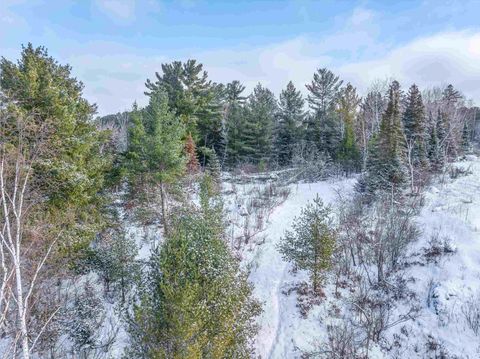 Tiny photo for TBD Trezona Dr, Ely, MN 55731 (MLS # 6123275)