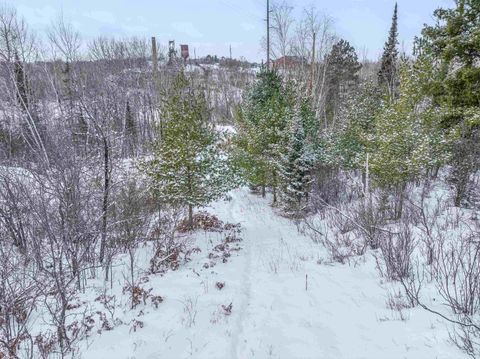 Tiny photo for TBD Trezona Dr, Ely, MN 55731 (MLS # 6123275)