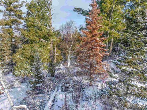 Tiny photo for TBD Trezona Dr, Ely, MN 55731 (MLS # 6123275)