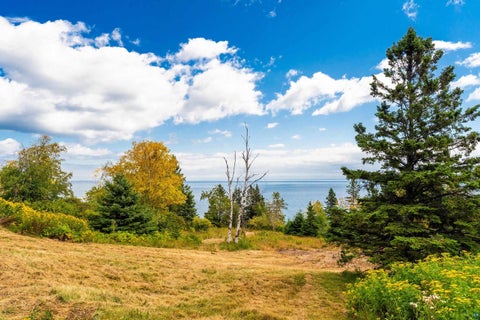 Tiny photo for xxxx E Stanley Rd, Two Harbors, MN 55616 (MLS # 6127592)