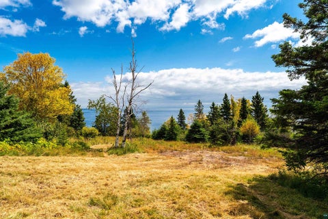 Tiny photo for xxxx E Stanley Rd, Two Harbors, MN 55616 (MLS # 6127592)
