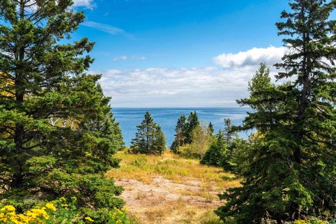 Tiny photo for xxxx E Stanley Rd, Two Harbors, MN 55616 (MLS # 6127592)