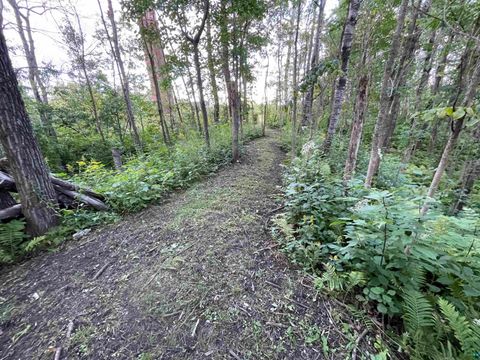 Tiny photo for 5881 Old Hwy 61, Duluth, MN 55810 (MLS # 6124267)