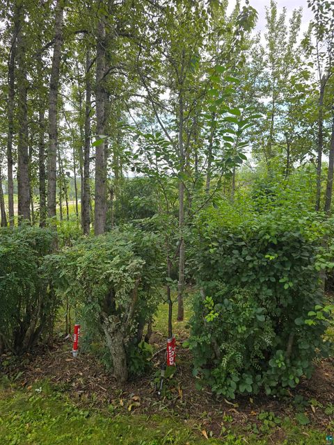 Tiny photo for 5881 Old Hwy 61, Duluth, MN 55810 (MLS # 6124267)