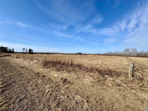 Tiny photo for 3993 County Rd 135, Kettle River, MN 55757 (MLS # 6124313)