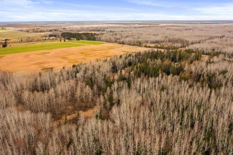 Tiny photo for 8852 Arkola Rd, Kelsey, MN 55724 (MLS # 6125027)