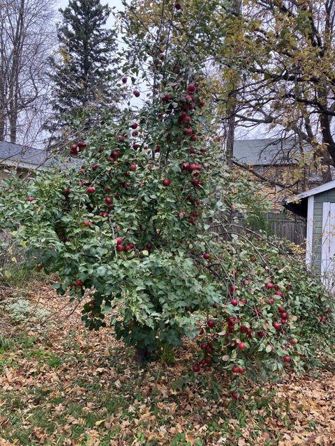 Tiny photo for 9237 Lawn St, Duluth, MN 55810 (MLS # 6122591)