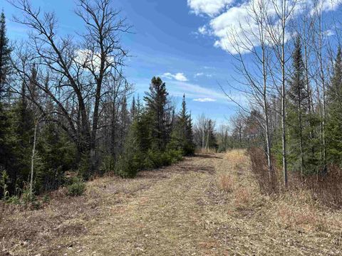 Tiny photo for 2 Fernberg Rd, Ely, MN 55731 (MLS # 6123038)