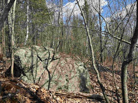 Tiny photo for 2 Fernberg Rd, Ely, MN 55731 (MLS # 6123038)