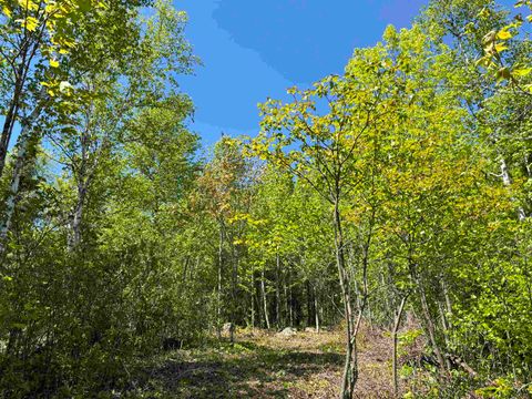 Tiny photo for 2 Fernberg Rd, Ely, MN 55731 (MLS # 6123038)