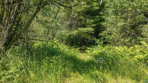 Tiny photo for 2538 Martilla Rd, Ely, MN 55731 (MLS # 6126950)