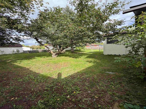 Tiny photo for 731 E Camp St, Ely, MN 55731 (MLS # 6127980)