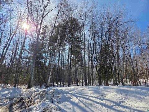 Photo of 5 N 83rd Ave W, Duluth, MN 55807 (MLS # 6123920)