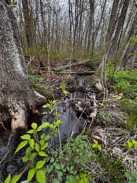 Tiny photo for 71 Murphy Dr, Grand Marais, MN 55604 (MLS # 6123088)