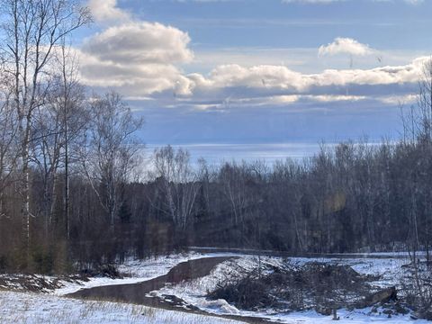 Tiny photo for 71 Murphy Dr, Grand Marais, MN 55604 (MLS # 6123088)