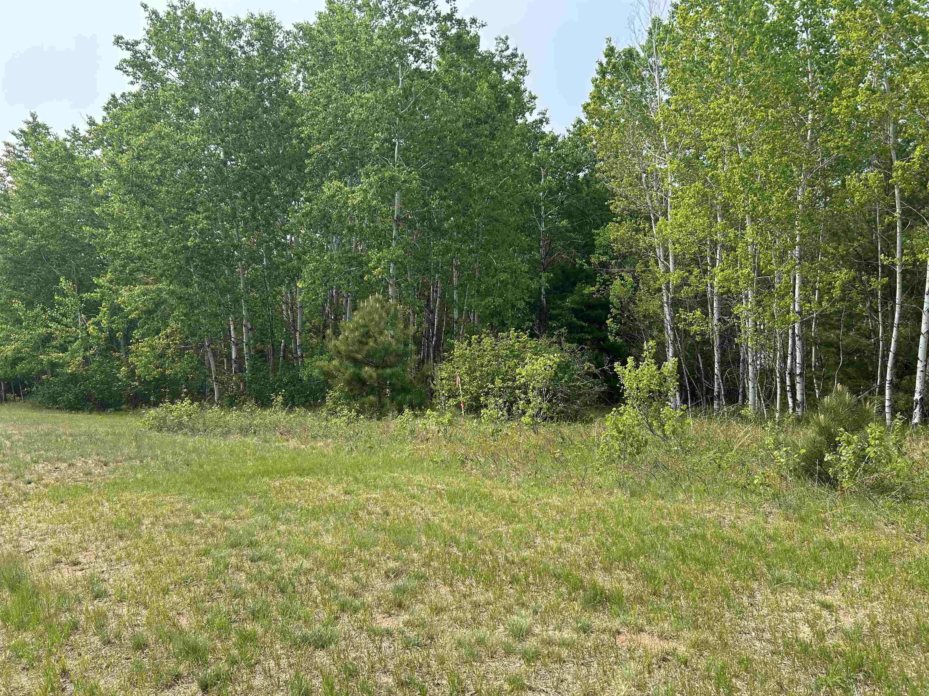 Lot 3 North Shore Dr
