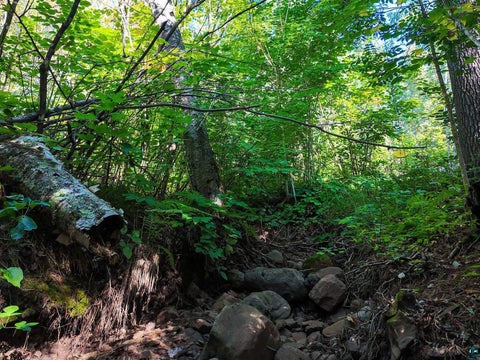 Tiny photo for XXX Caspers Hill Rd, Grand Marais, MN 55604 (MLS # 6127625)