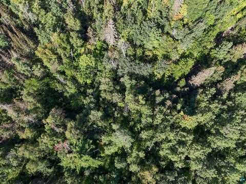 Tiny photo for XXX Caspers Hill Rd, Grand Marais, MN 55604 (MLS # 6127625)