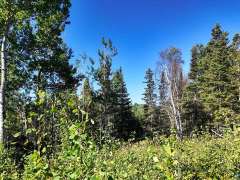 Tiny photo for XXX Caspers Hill Rd, Grand Marais, MN 55604 (MLS # 6127625)