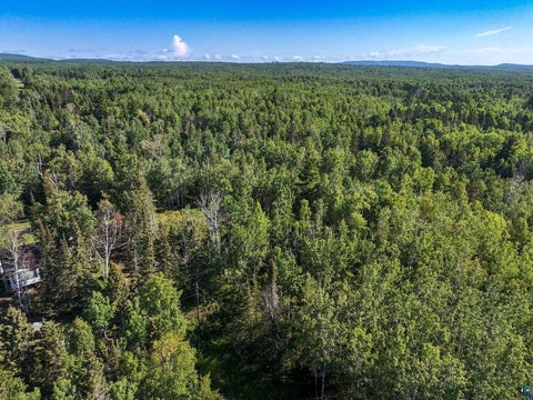 Tiny photo for XXX Caspers Hill Rd, Grand Marais, MN 55604 (MLS # 6127625)