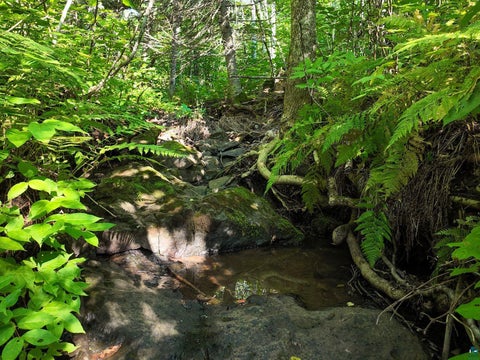 Tiny photo for XXX Caspers Hill Rd, Grand Marais, MN 55604 (MLS # 6127625)