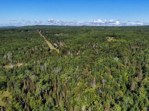 Tiny photo for XXX Caspers Hill Rd, Grand Marais, MN 55604 (MLS # 6127625)
