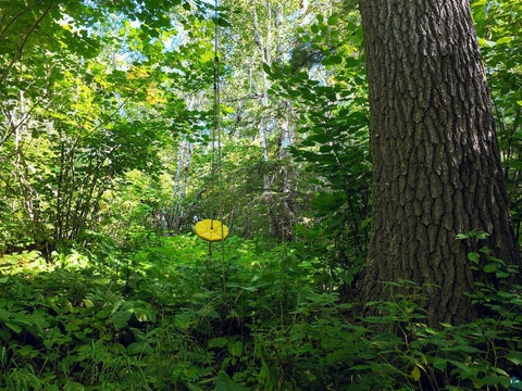 Tiny photo for XXX Caspers Hill Rd, Grand Marais, MN 55604 (MLS # 6127625)