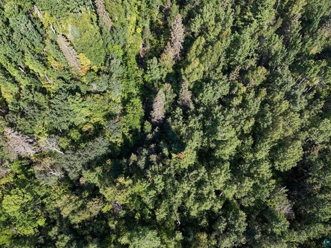 Tiny photo for XXX Caspers Hill Rd, Grand Marais, MN 55604 (MLS # 6127625)