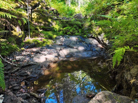Tiny photo for XXX Caspers Hill Rd, Grand Marais, MN 55604 (MLS # 6127625)