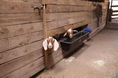 Tiny photo for 53253 W Grindstone Lake Rd, Sandstone, MN 55072 (MLS # 6124098)