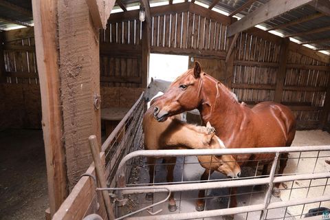 Tiny photo for 53253 W Grindstone Lake Rd, Sandstone, MN 55072 (MLS # 6124098)