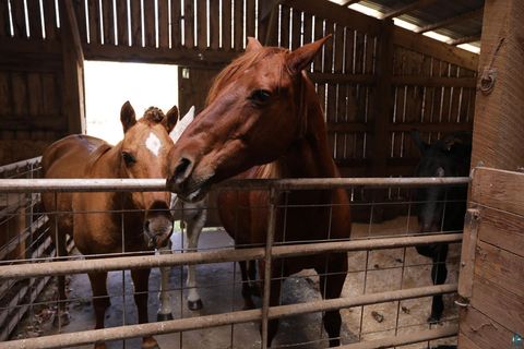 Tiny photo for 53253 W Grindstone Lake Rd, Sandstone, MN 55072 (MLS # 6124098)