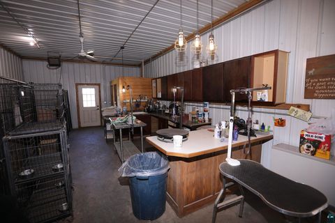Tiny photo for 53253 W Grindstone Lake Rd, Sandstone, MN 55072 (MLS # 6124098)