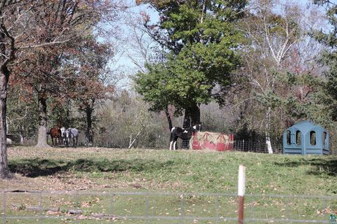 Tiny photo for 53253 W Grindstone Lake Rd, Sandstone, MN 55072 (MLS # 6124098)