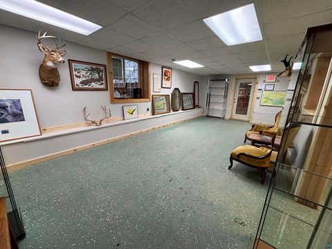 Tiny photo for 43 E Camp St, Ely, MN 55731 (MLS # 6125542)