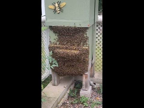 Tiny photo for 925 14th St, Cloquet, MN 55720 (MLS # 6123033)