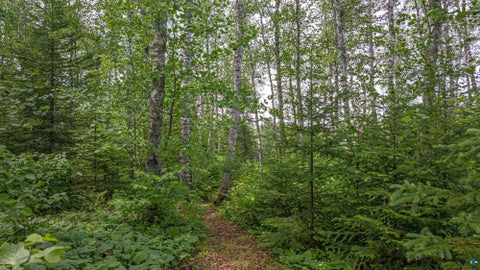 Tiny photo for 3806 Dorem Dr, Ely, MN 55731 (MLS # 6126118)