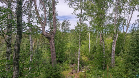 Tiny photo for 3806 Dorem Dr, Ely, MN 55731 (MLS # 6126118)
