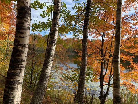 Tiny photo for 1554 Bass Bay Rd, Carlton, MN 55718 (MLS # 6124415)